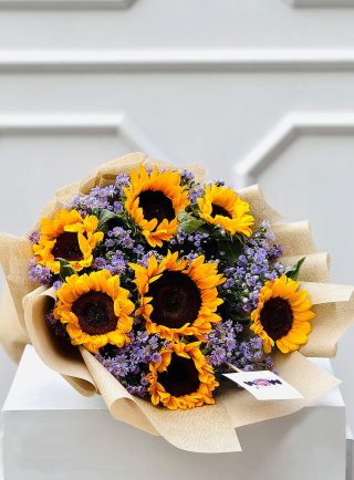 Soliviolet radiance