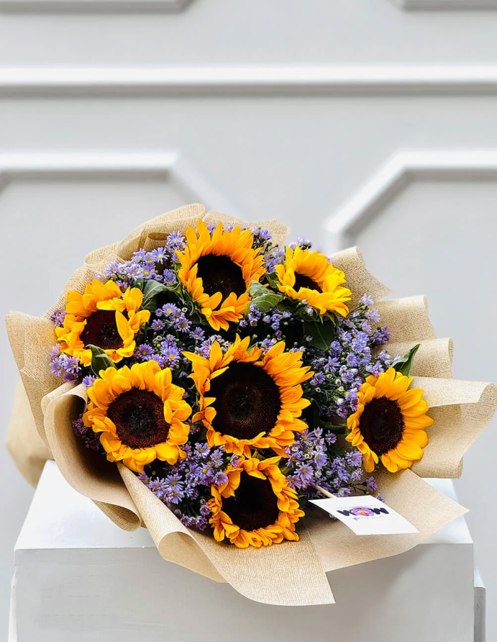 Soliviolet radiance