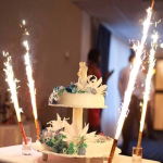 Birthday cake Sparkling firework candles